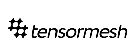 Tensormesh Logo