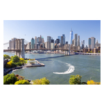 nyc-g1478068237.jpg
