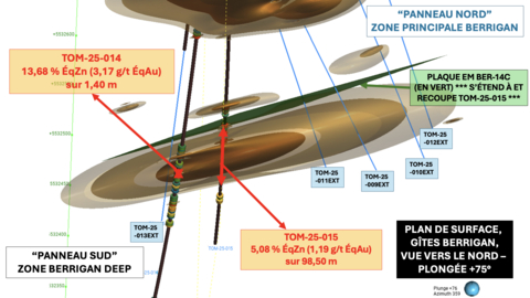 Figure 1 : Section 3D en plan montrant les sondages TOM-25-009 à TOM-25-013 et leurs extensions prévues (lignes bleues) visant la plaque conductrice modélisée en profondeur et les intersections significatives des sondages TOM-25-014 et TOM-25-015 de la zone Berrigan Deep.