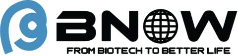 BNOW Logo