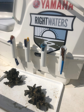 original Yamaha Rightwaters™ marked its seventh anniversary on Monday, June 8, World Oceans Day 2026. Launched in 2019, Yamaha Rightwaters continues to support programs that make significant progress in keeping waterways clean and promoting sustainability for generations to come.