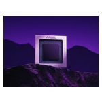 Arbel-purple.jpg