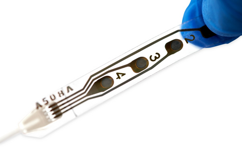original WCS: wise cortical strip