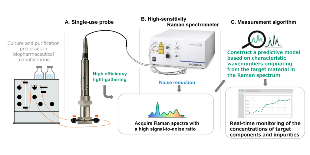 Fujifilm and HORIBA Co-develop High-Sensitivity Inline Raman Measurement System for Real-Time Monitoring of Cell Culture and Purification in Biopharmaceutical Manufacturing 1 HORIBA schematic