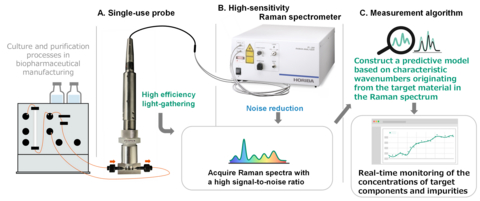 original Schematic of the High-Sensitivity Inline Raman Measurement System: A high light-collection-efficiency probe and a Raman spectrometer with a noise-reduction design enable the acquisition of Raman spectra with a high signal-to-noise ratio (S/N). Characteristic wavenumbers associated with target substances are extracted from the acquired spectra, and a predictive model is constructed. This enables real-time monitoring of the concentrations of target components and impurities.