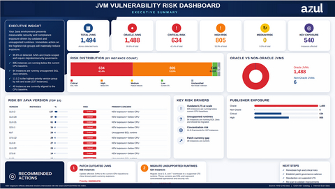 Azul's JVM Vulnerability Risk Assessment dashboard.