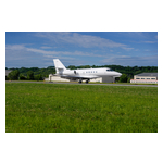 6KS1356_-_SOA_Dove1.jpg