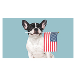4th_of_July_Lifestyle_Image_1.jpg