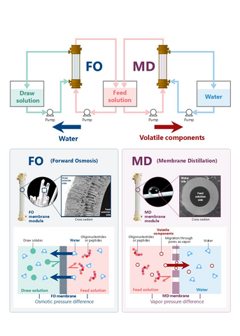 thumbnail Overview of the FO–MD system for concentration without heating or pressurization