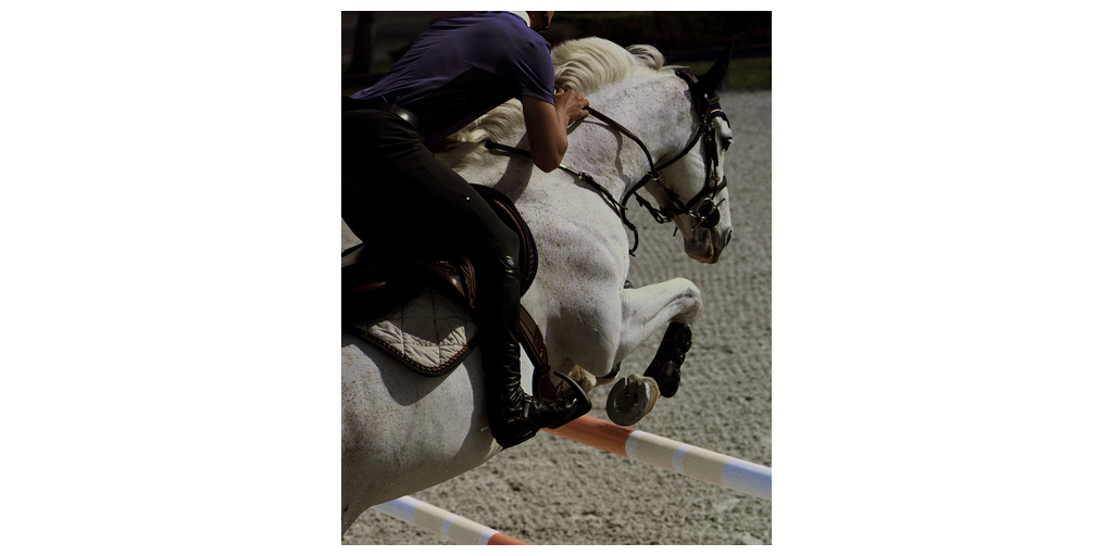 プレミア・ジャンピング・リーグ（PJL）とMcCarthy Jumping Team、画期的なチーム買収を発表