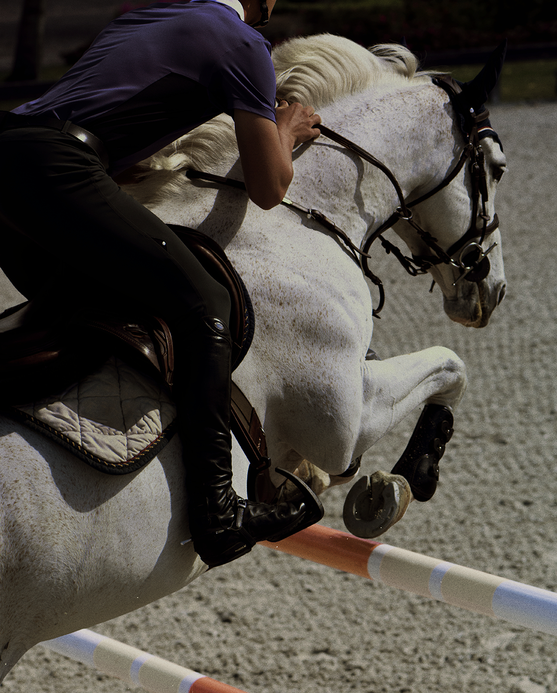 The Premier Jumping League (PJL), photographed by Daniel Benson.