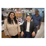 Wang_Lab_Grants.jpg