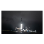 T17-1cut.jpg