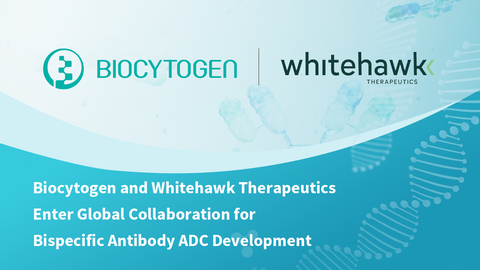 Biocytogen and Whitehawk Therapeutics Enter Global Collaboration for Bispecific Antibody ADC Development