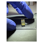 Bioprinted_Liver_Tissue.jpg