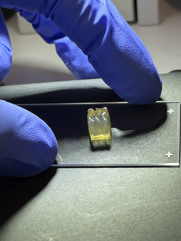 Biological tissues: Auxilium Biotechnologies successful bioprinted kidney and liver tissues aboard the International Space Station (ISS), marking the first time either tissue type has been manufactured in space.