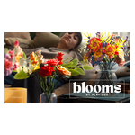 01_Blooms_by_Play-Doh.jpg