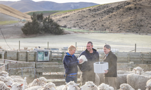 original In partnership with Lanaco, a New Zealand-based wool technology company, Blueair engineered a bio-based, USDA-certified wool filter that uses biodegradable alternatives while maintaining its high performance standards.