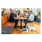 Access_Scenario-Restaurant_Meal-04.jpg
