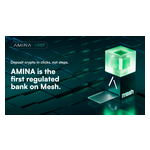 AB347_-_AMINA_First_Mesh-Banner.jpg