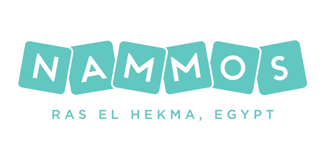 Modon Logo