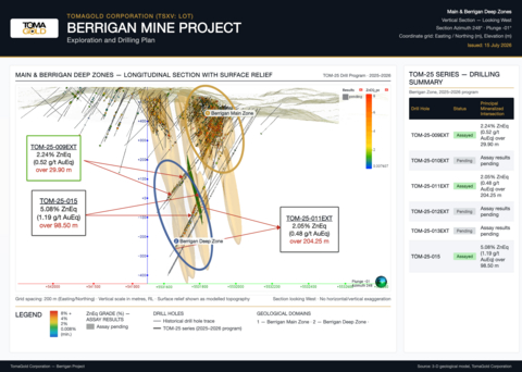 original Figure 1 : Longitudinal section of the Berrigan Deep Zone showing drill hole TOM-25-009EXT