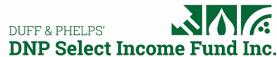 DNP Select Income Fund Inc. Logo