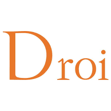 Shanghai Droi Technology Logo