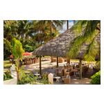 Robert_Balzebre%E2%80%99s_Solei_Beach_Club_Debuts_Seafood-Forward_Mediterranean_Dining.jpg