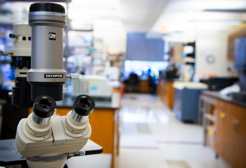 Research done in the labs at the Feinstein Institutes for Medical Research identified a brain circuit that acts like an internal alarm system for breathing. (Credit: Feinstein Institutes for Medical Research)