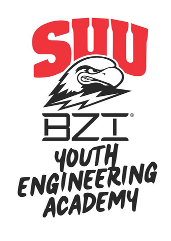 BZI Logo
