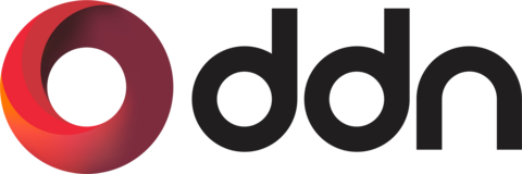 DDN Logo