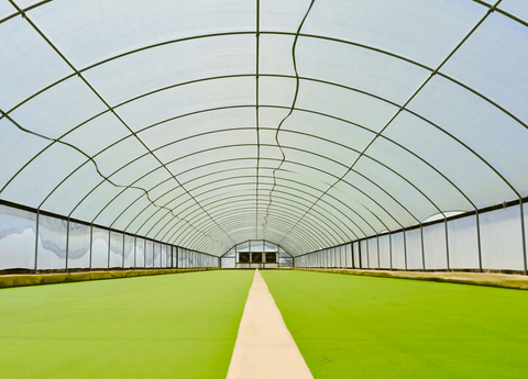 original Water lentils grow inside one of Plantible Foods’ enclosed greenhouses where the company produces Rubi Protein™ using a controlled aquatic growing system designed to support consistent, year-round harvests.