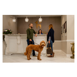 k9_resorts_promotional_shot_2.jpg