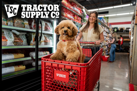 Tractor Supply expands pet assortment with new nutrition, toys, treats and everyday essentials.