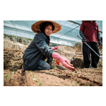 Malaysian_female_smallholder_farmer._Credit_Marcus_Chung.jpg