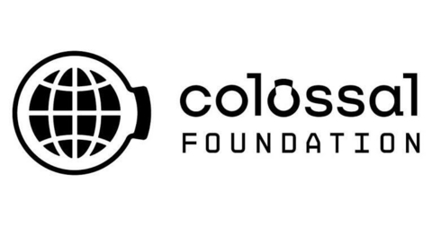 Colossal Foundation Logo
