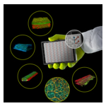 Bruker Announces Majority Investment in MIMETAS to Advance Human Physiology-Relevant Drug Discovery and Development 2 OrganoPlate