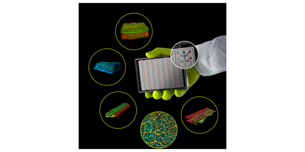 Bruker Announces Majority Investment in MIMETAS to Advance Human Physiology-Relevant Drug Discovery and Development 1 OrganoPlate