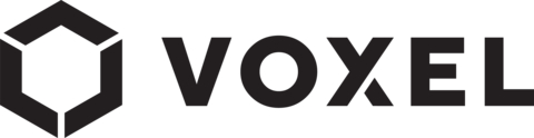 Voxel Logo