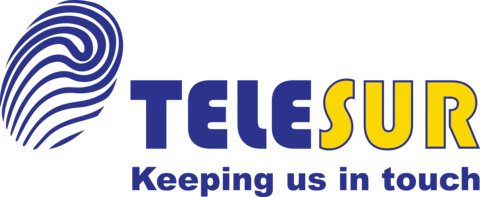 Liberty Networks Logo