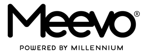 Millennium Systems International Logo