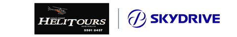 SkyDrive Inc. Logo