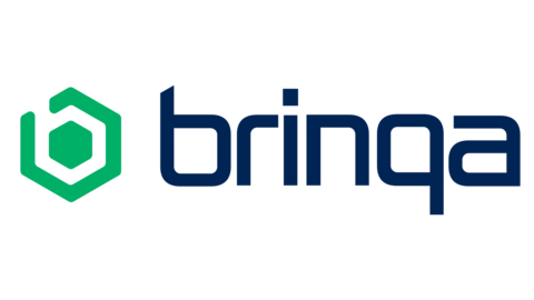 Brinqa Logo