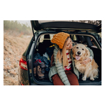 fall_travel_photo.jpg