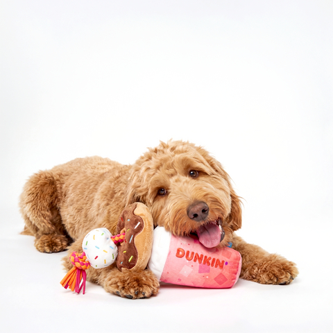 BARK® and Dunkin'® Launch Dunkin's First Official Dog Drive-Thru Experience and New Dog Toy Collection