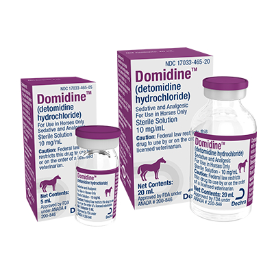 original Dechra Brings Globally Trusted Domidine™ (detomidine hydrochloride) to the U.S. Equine Market