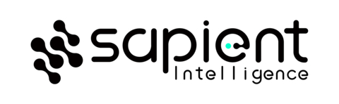 Sapient Intelligence Logo