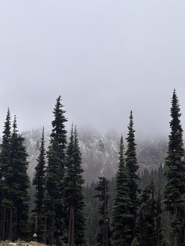 original First Snow Seen in Ikon Pass Country at Crystal Mountain in Washington.