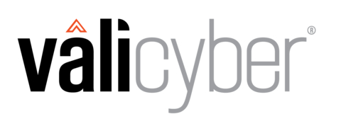 Vali Cyber Logo